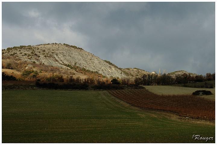 IMGP3141 copie.jpg - Vignes dans les Alpages